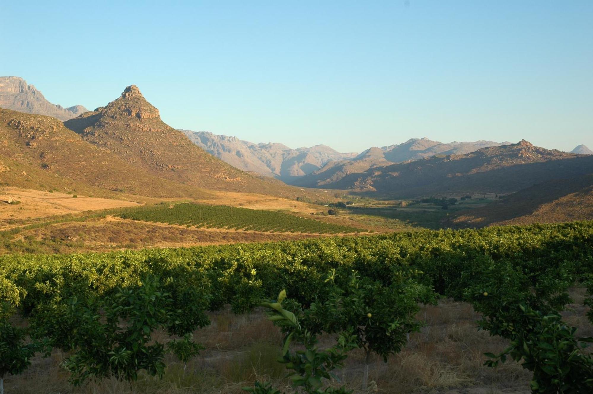 Klein Boschkloof Villa Clanwilliam Dış mekan fotoğraf