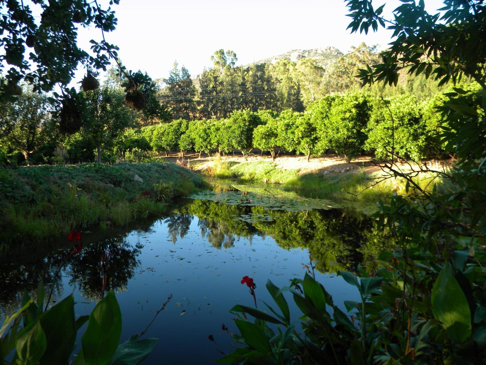 Klein Boschkloof Villa Clanwilliam Dış mekan fotoğraf