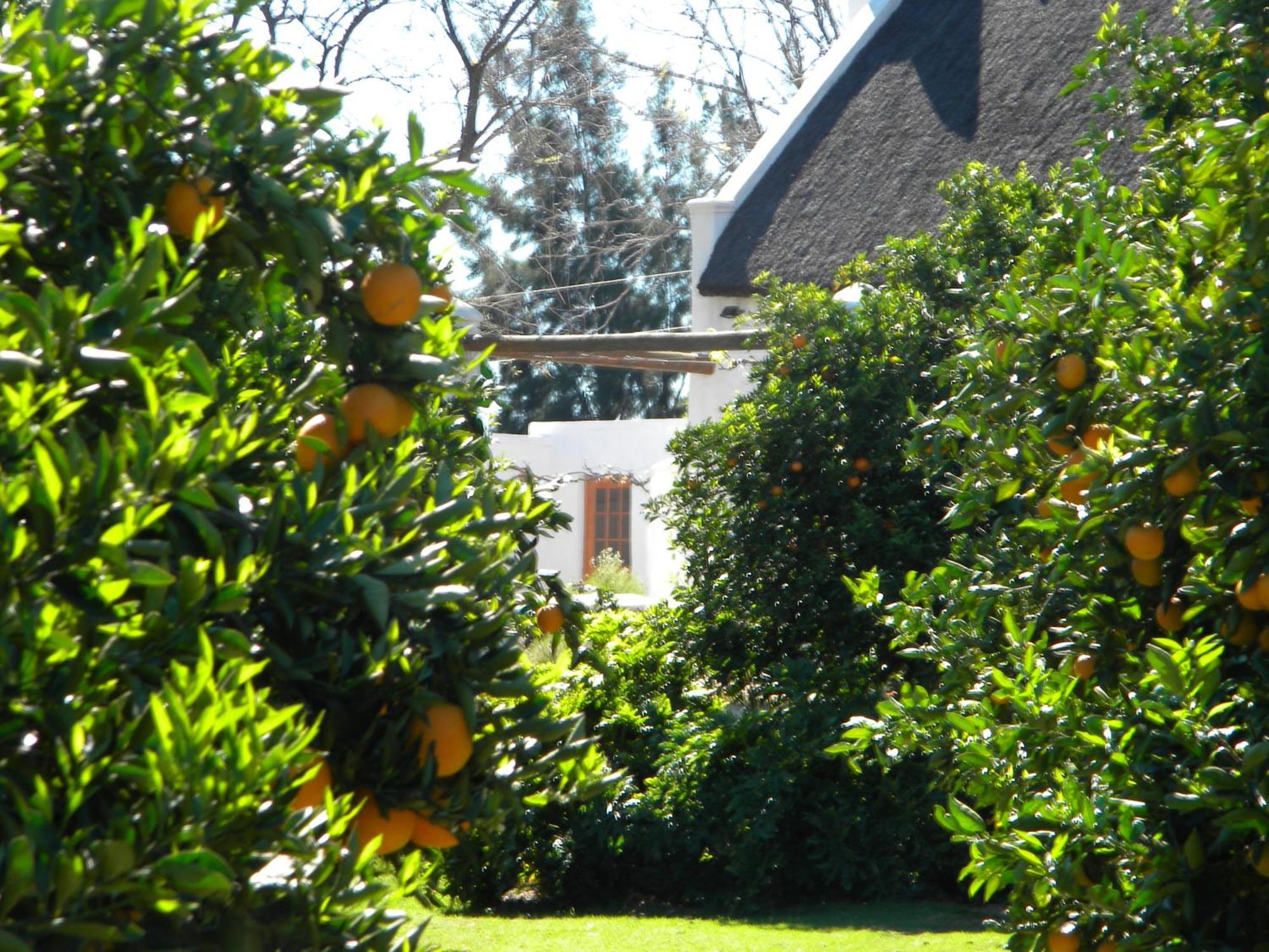 Klein Boschkloof Villa Clanwilliam Dış mekan fotoğraf