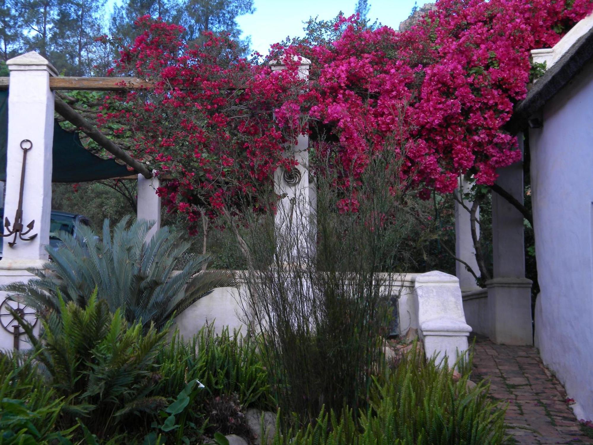 Klein Boschkloof Villa Clanwilliam Dış mekan fotoğraf