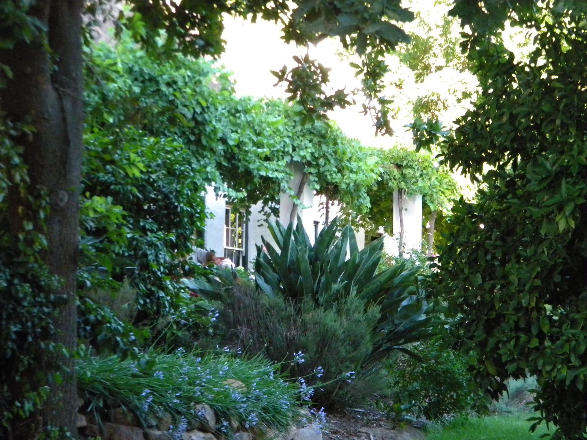 Klein Boschkloof Villa Clanwilliam Dış mekan fotoğraf